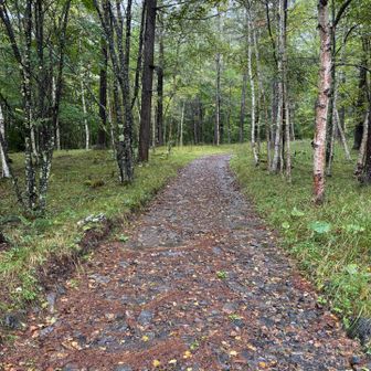 台風の雨は午前中には上がるとふんで、信濃川上からのバスで梓山下車。毛木平まで歩いていると、急に軽トラが停車して、おじさんが「乗ってけ」と。そういうわけで、毛木平駐車場からスタート。