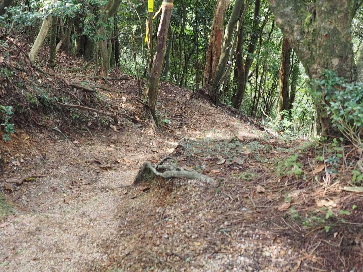 分岐をまず忍者岳へ進む。