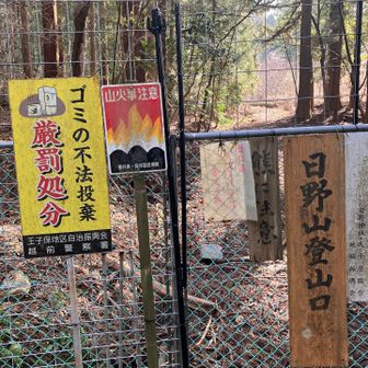 猪よけの扉を開閉して
お邪魔しまーす(๑˃͈꒵˂͈๑)