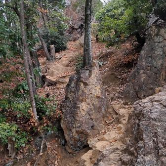 岩場の登山道