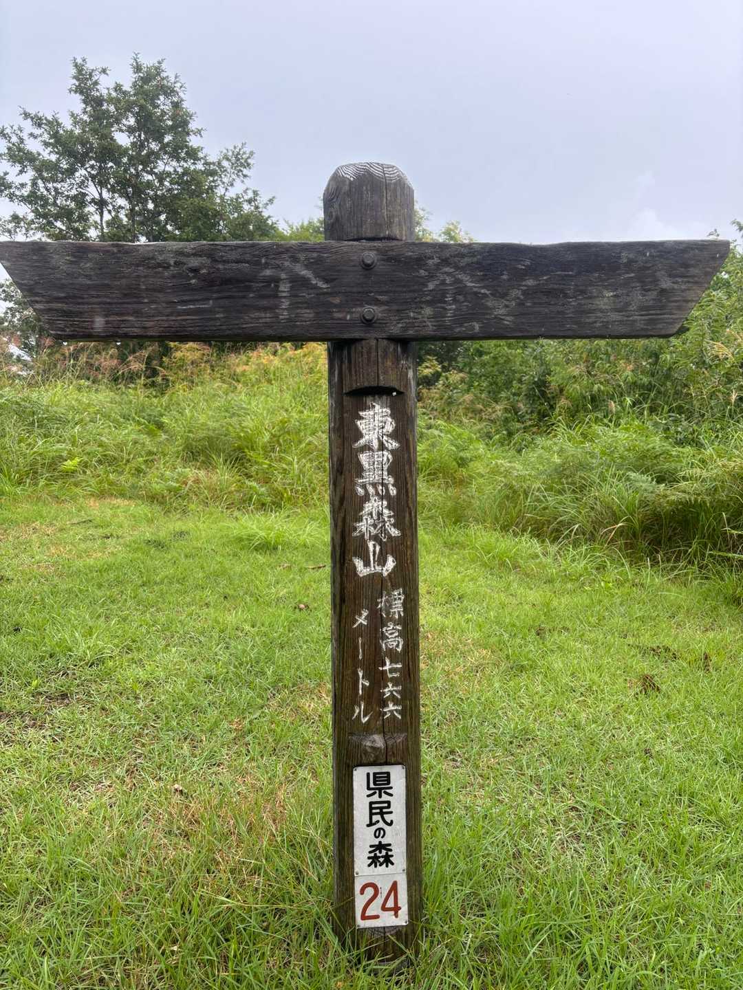 頂上！