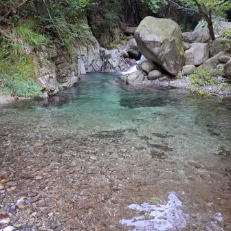 ドボン場