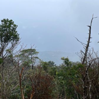 神山展望所からの眺めです。うっすらとふもとと海が見えました。