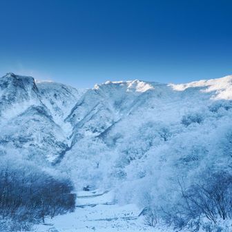 樹氷が素晴らしい
