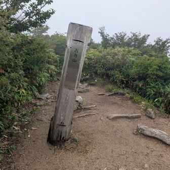 古寺山。ここは巻き道はなし。
小朝日より古寺山のほうが立派やん…