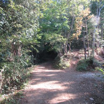 渋沢丘陵は右を進む