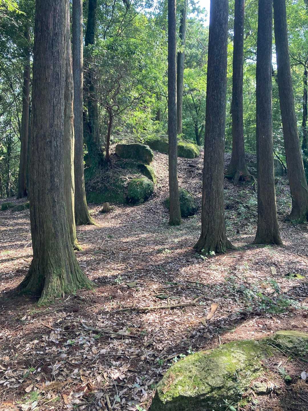 静かで落ち着きます