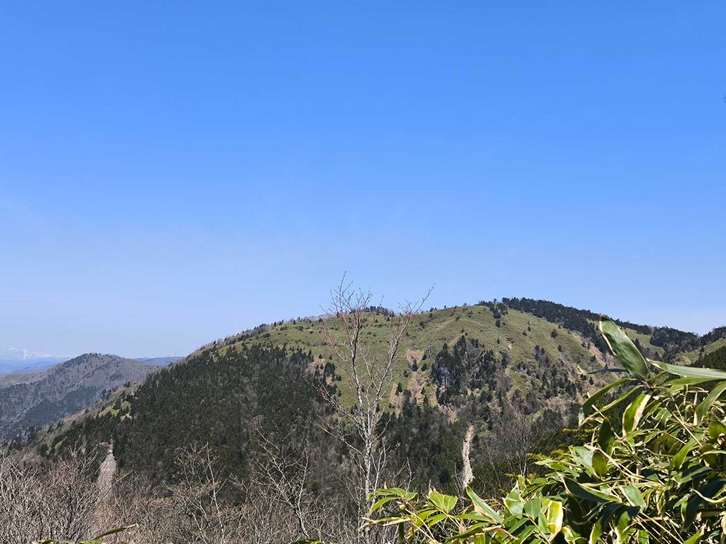 白草山登山口-白草山 往復コースの写真