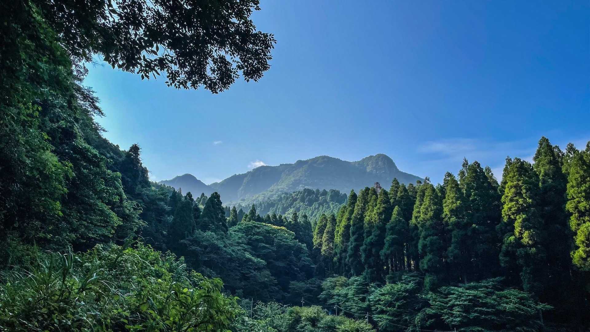 八方ヶ岳（熊本県）登山ルートの写真