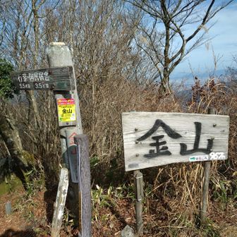 頂上には我々だけ、ゆっくり昼食をとる。