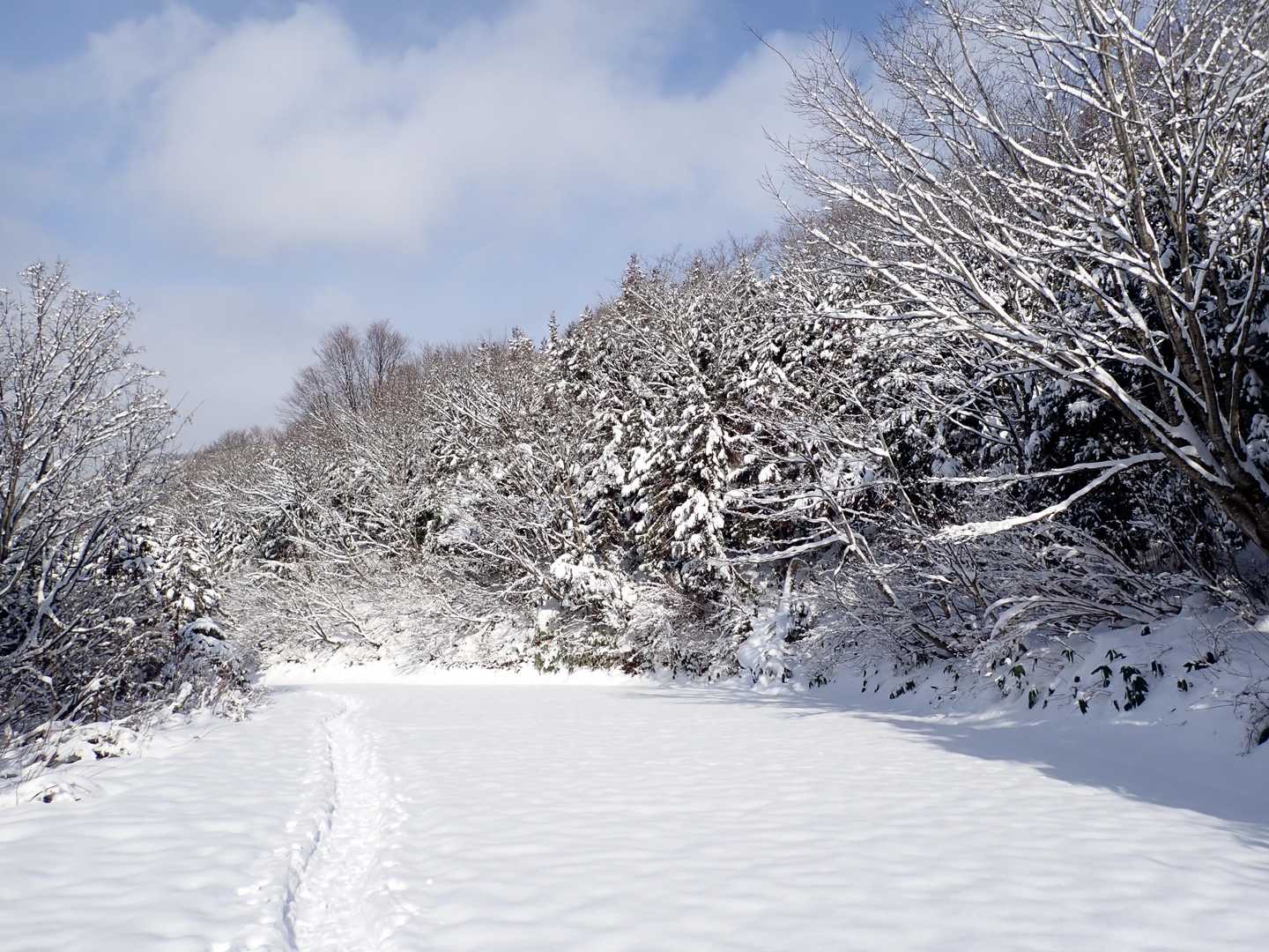 ここでも一瞬晴れた✨