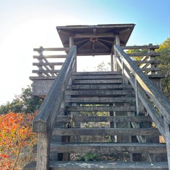 展望台　そろそろピーク