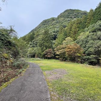 駐車場を通過🅿️