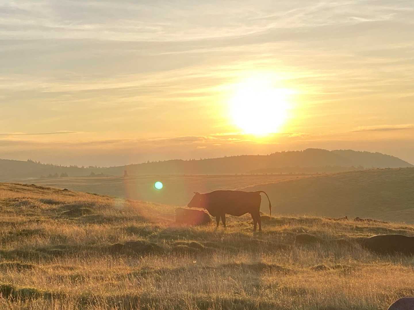 美ヶ原の日の出☀️
