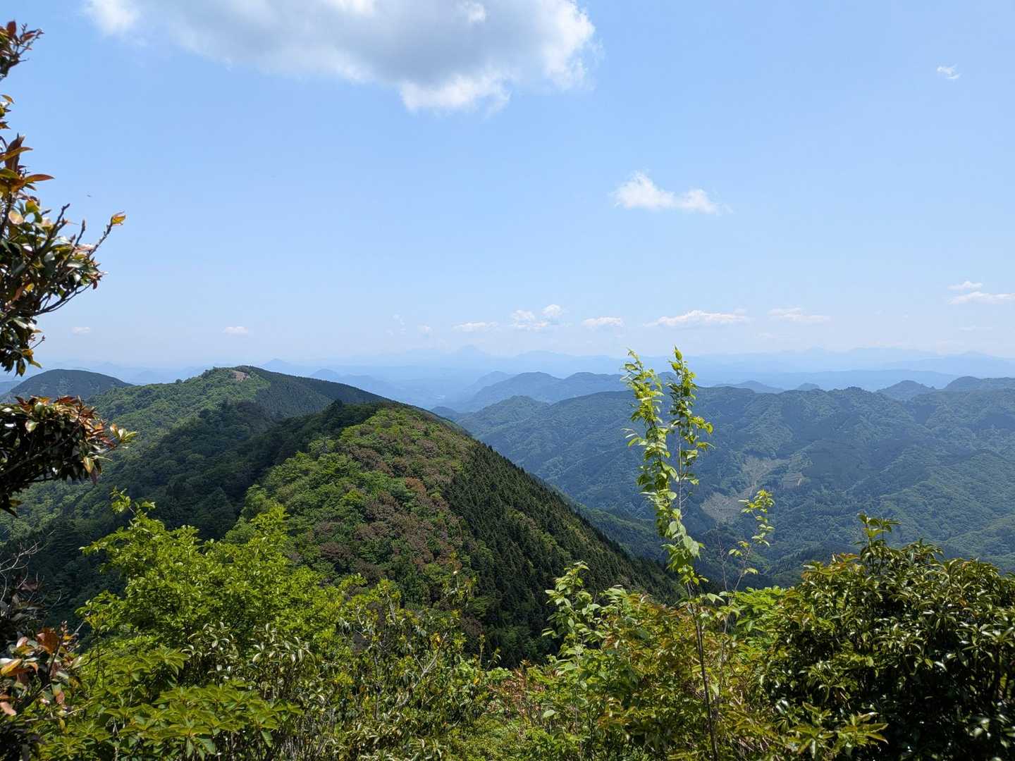 東側が開けて由布岳からくじゅう、阿蘇山も見渡せます🤗
