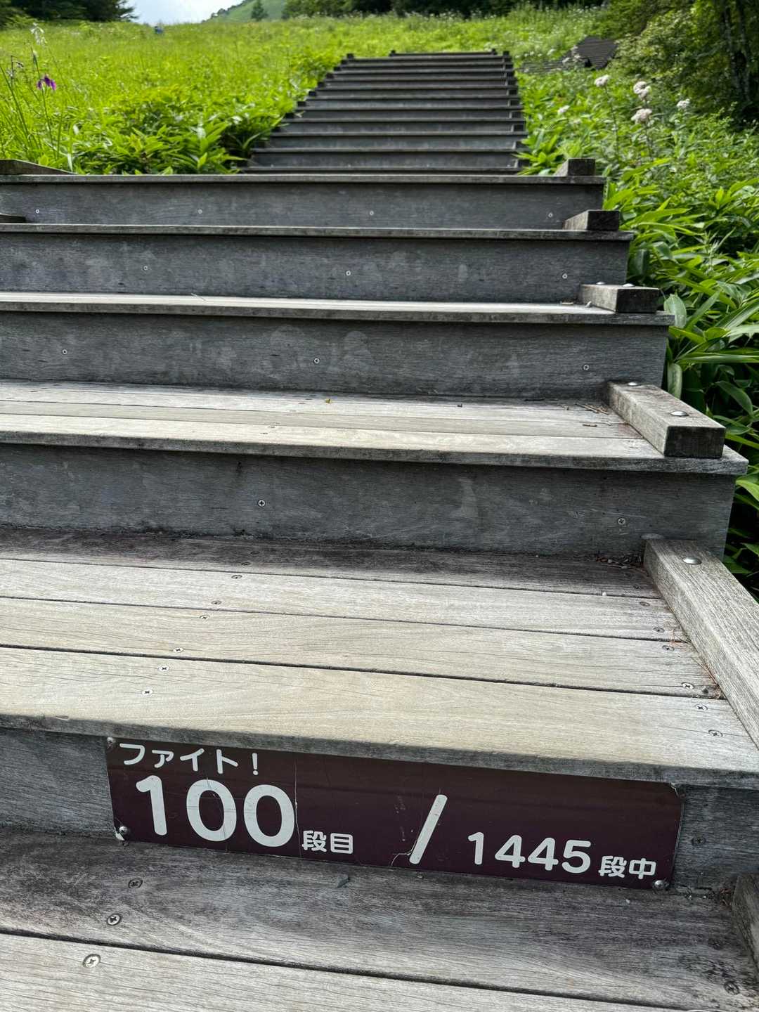 霧降高原レストハウス-丸山 周回コースの写真