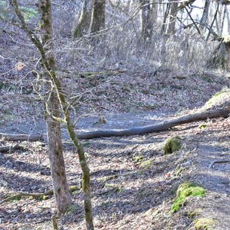 六本木峠
丸川峠経由で大菩薩嶺に行けます