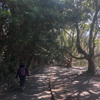 さあスタートです。