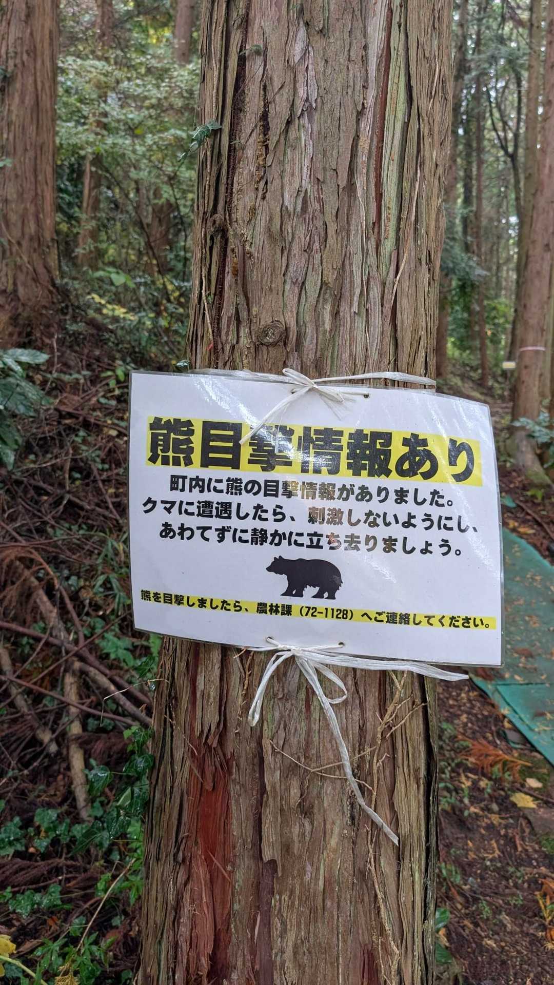 マジ？
こーいう案内、いつ掲示したのか日付入れて欲しい