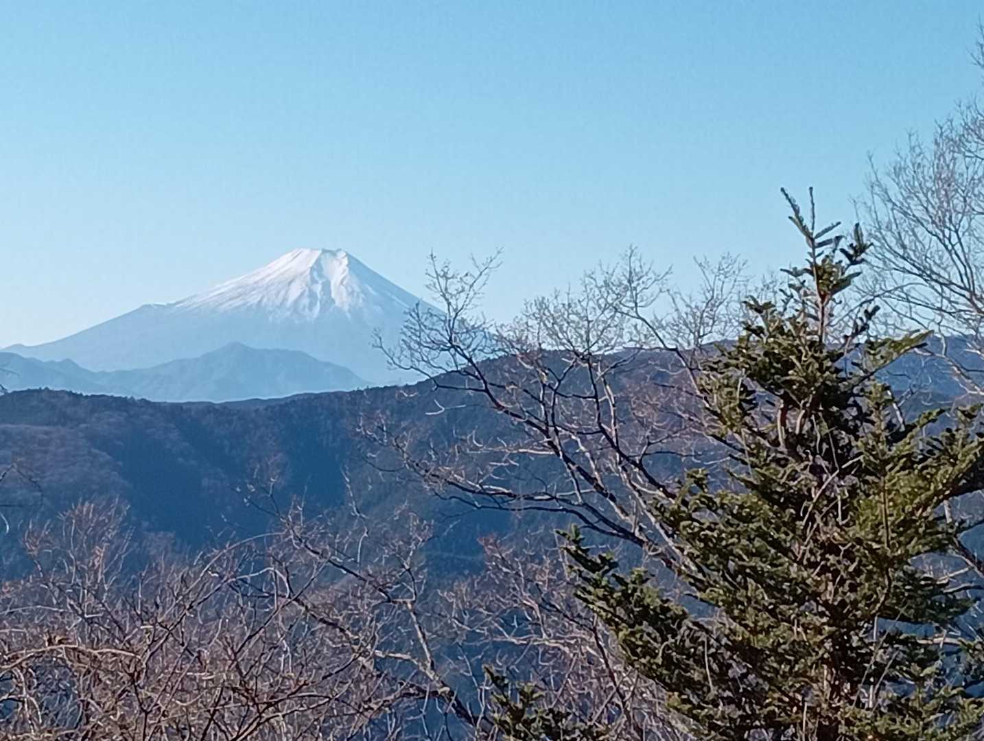 ここからも富士山がドーン‼️
枝だけになった木々の間から、しばらく富士山を見ながら歩けます。