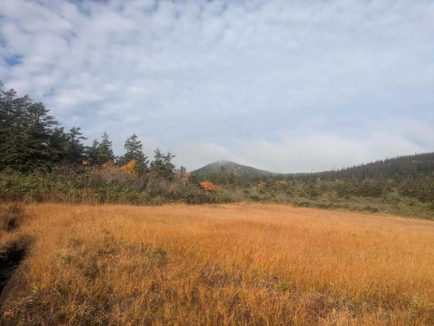 前回は見れなかった景色　駒ヶ峯
