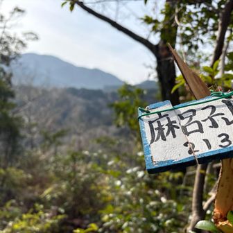213メートルの山頂⛰️
予定では登り始めて30分程で到着予定やったのに、1時間半ほどかかったわ😅
めちゃ急坂やったし、ヘトヘト😓