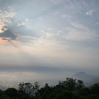 展望所からの別府湾。
右隅は高崎山🐒
霞んでます😑