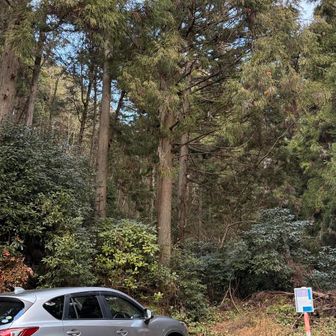 朝活最高😊👌