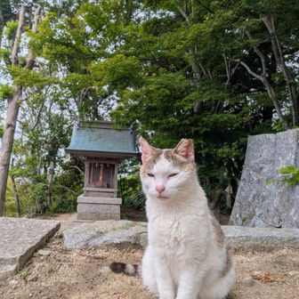 では、そろそろ行くね
遊んでくれてありがとう😘