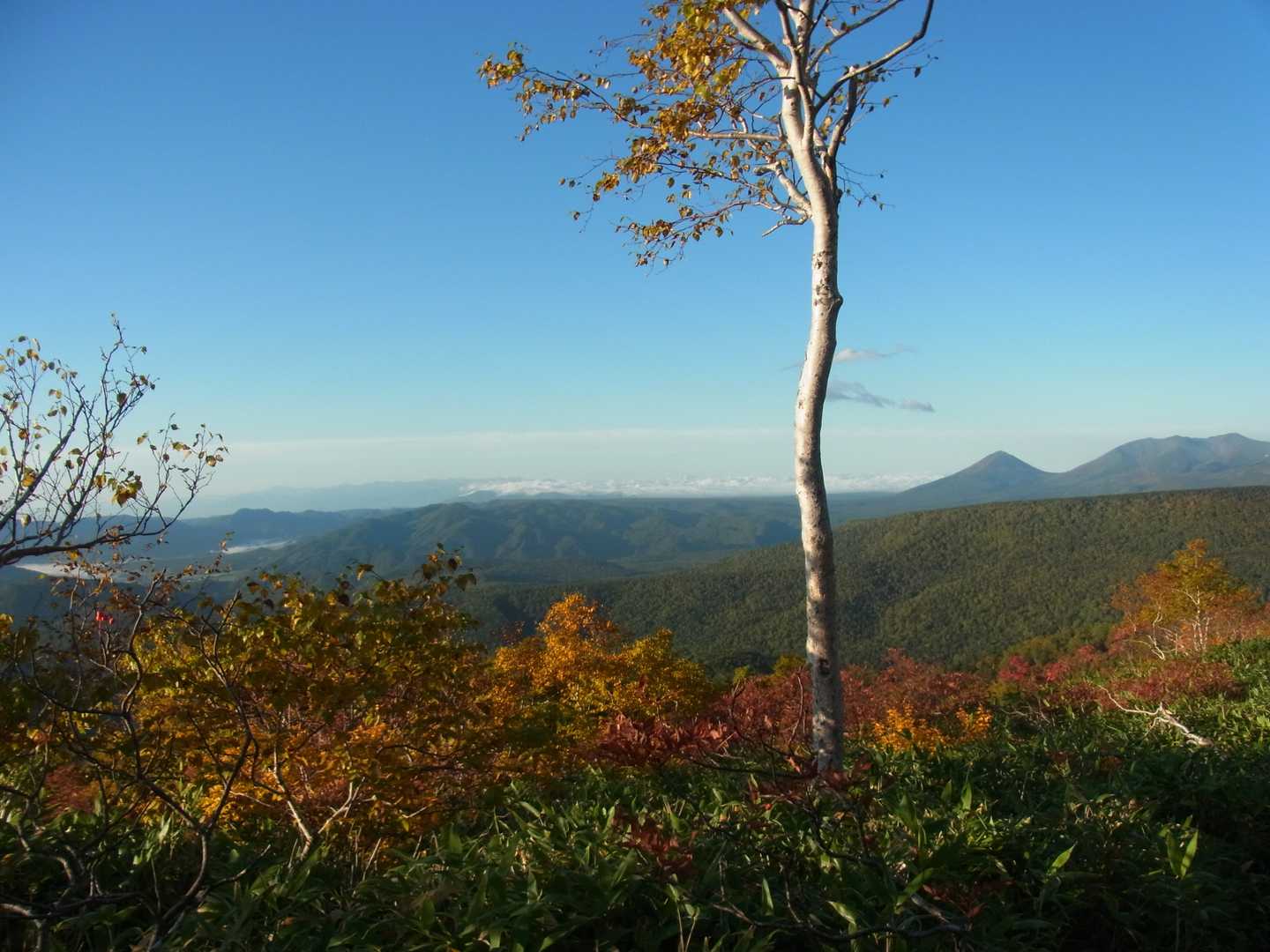 オプタテシケ山方向⛰️