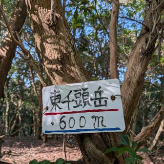 帰りに
東千頭岳の標識を発見

周りを見渡して・・
なるほど
一番高いと思われる所にありました