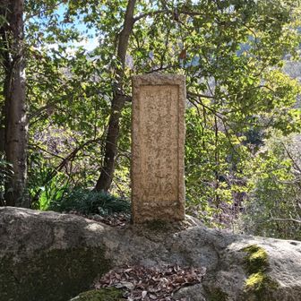 対岸の知るべ岩まで降りて…