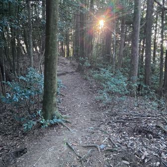 朝日に向かって歩く、気持ちの良い1年の始まりです