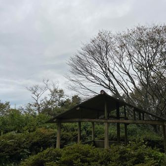 東屋もルート上にいくつか