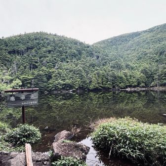 また下山するよー
亀甲池水たくさん溜まってた
前来た時はただの水溜りだったのにー