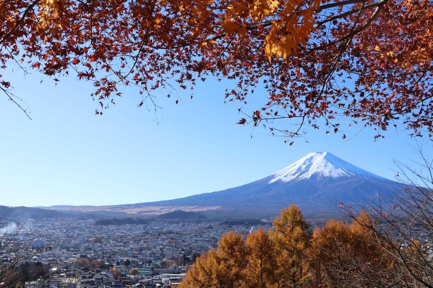 下りてもう一度　💕
