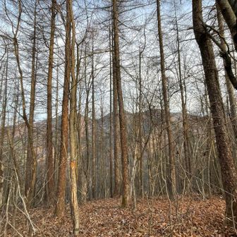 山頂標識が見当たらなかったが、おそらくこの辺が、ガンギ沢ノ頭