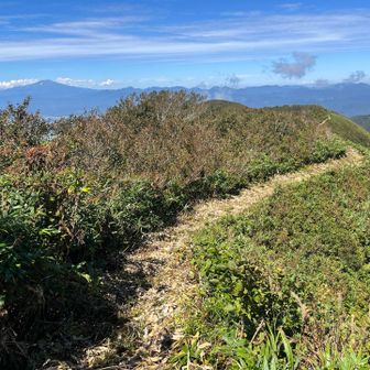 山頂の先に続く道。左奥に聳えるは鳥海山。凛々しい。