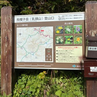 登山口からいざ入山です。