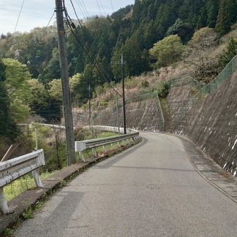 しばらくはこんなロード歩き