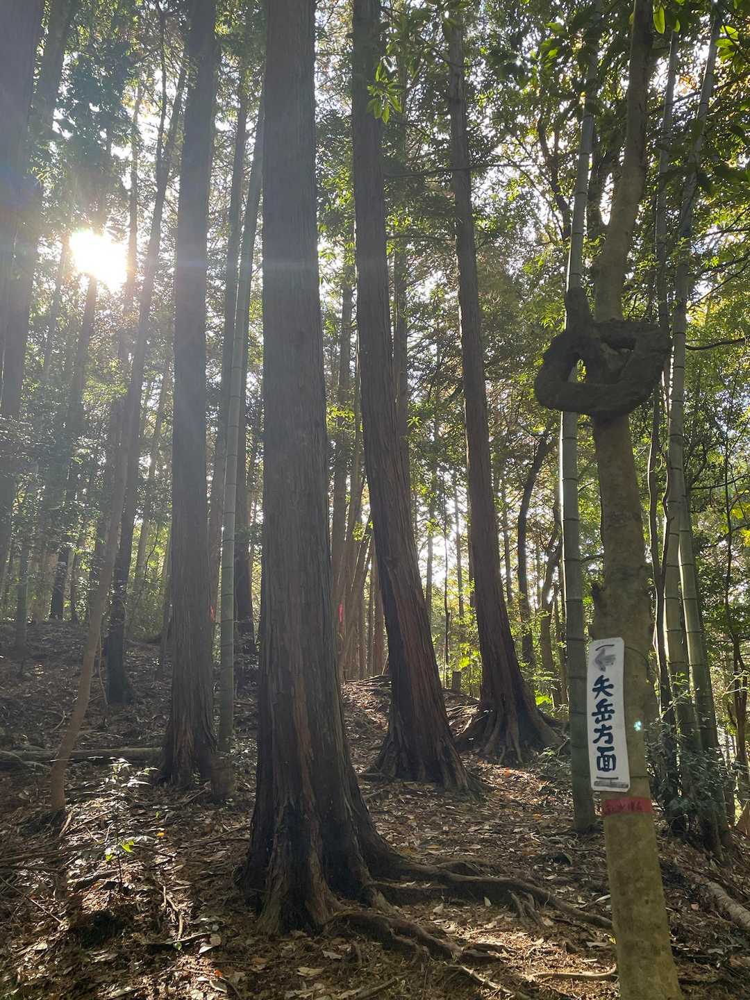 いつも整備されてて…有難い♡
