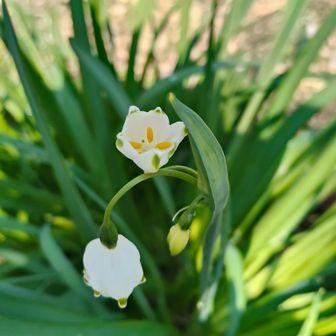 上を向いているの珍しいね🤭