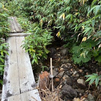 川も渡ります
昨日の雨で少し多いのかな