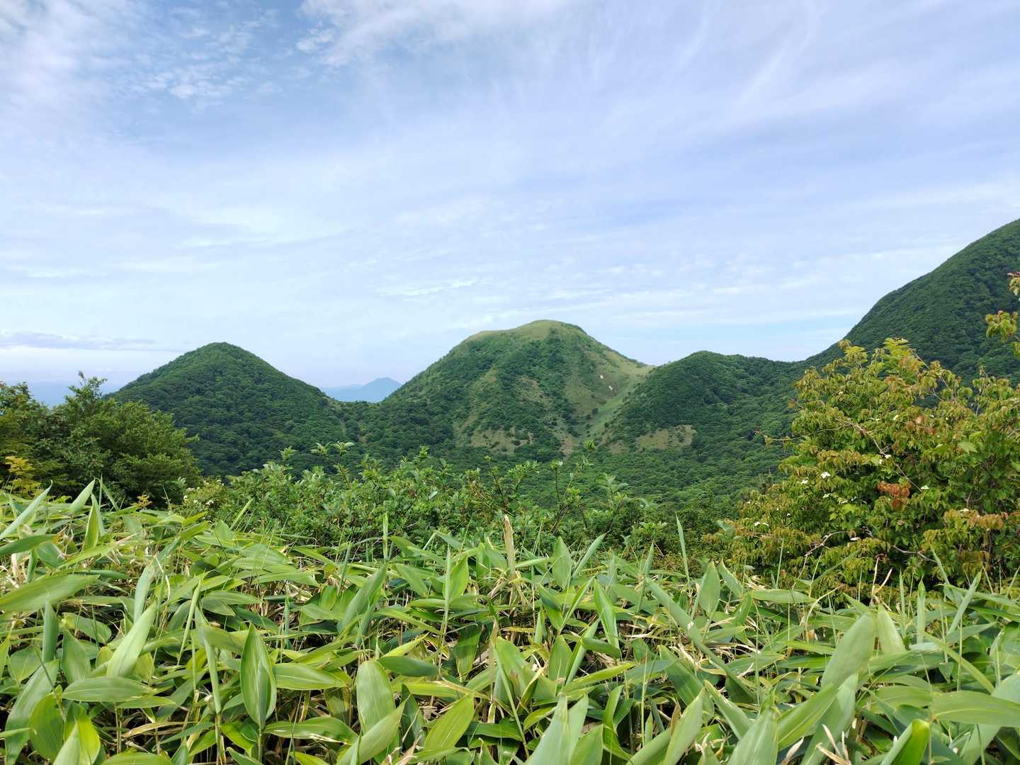 すてき！