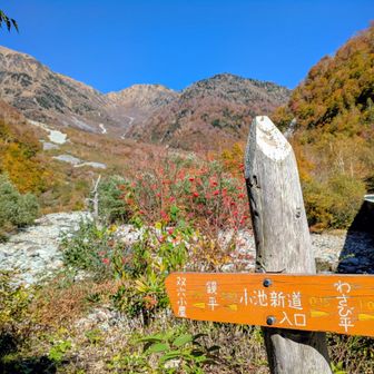 左から大ノマ岳，弓折岳…