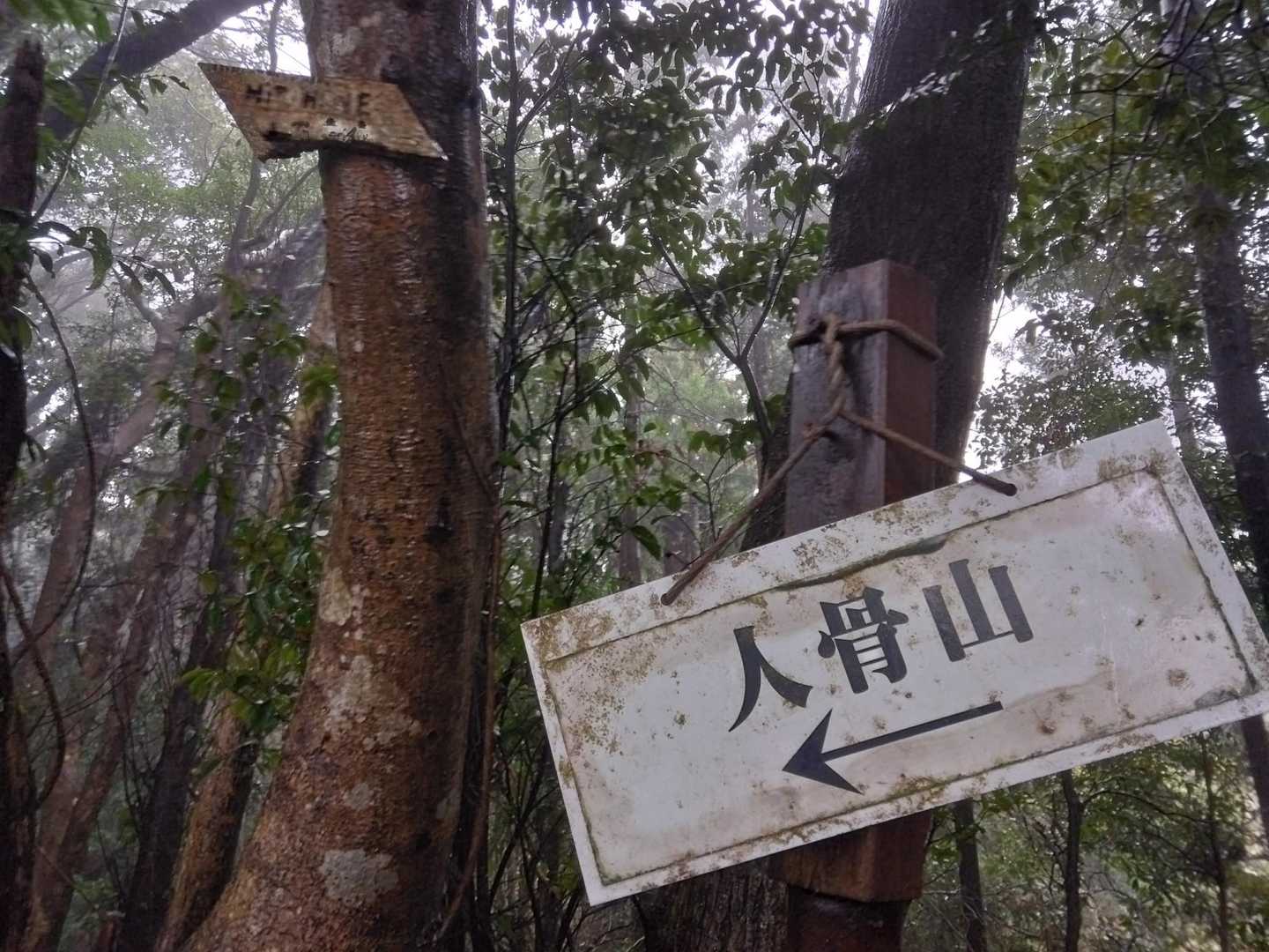 “ひとほねやま”と初めて知る😅
“じんこつ”…かと思ってた💀