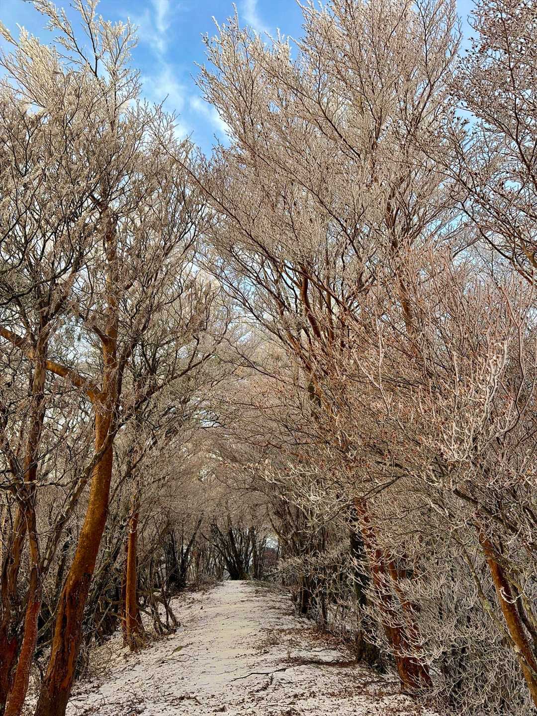 いい感じの山道が続きます