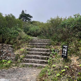 午前中は晴れ予報。