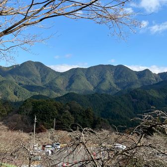天気よく、山クッキリ