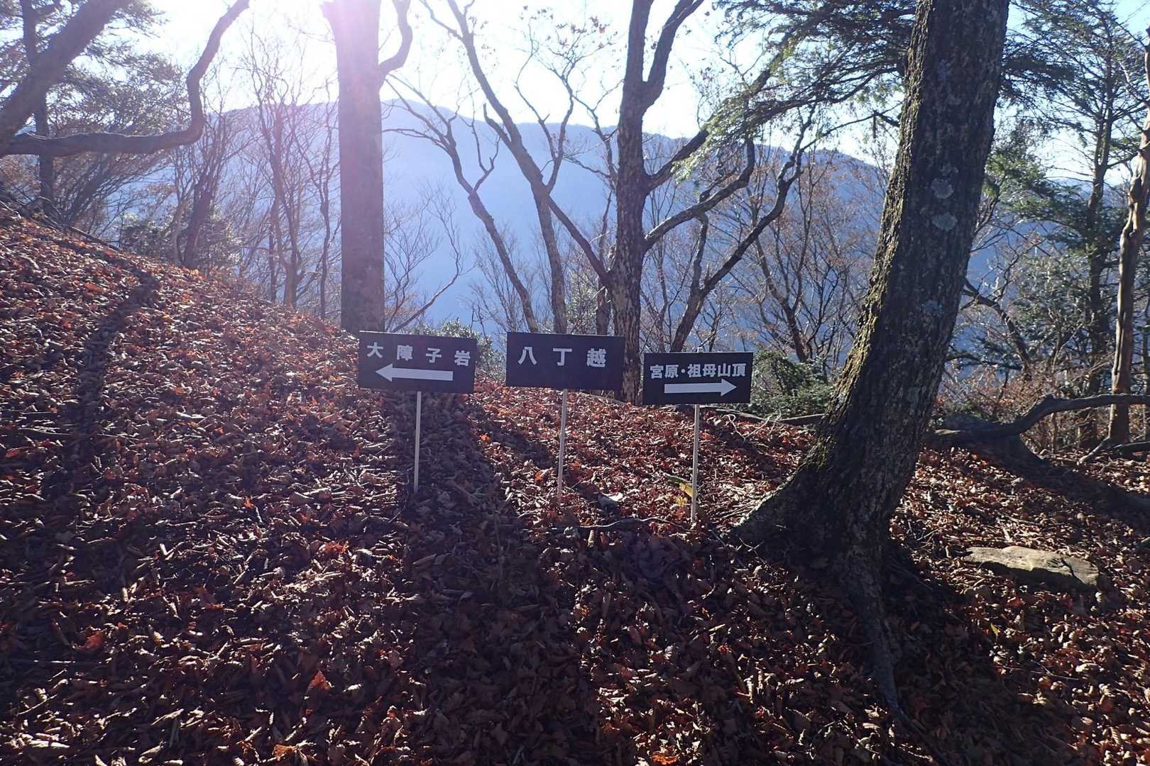 白水登山口から登り切った所の、八丁越😊